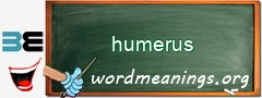 WordMeaning blackboard for humerus